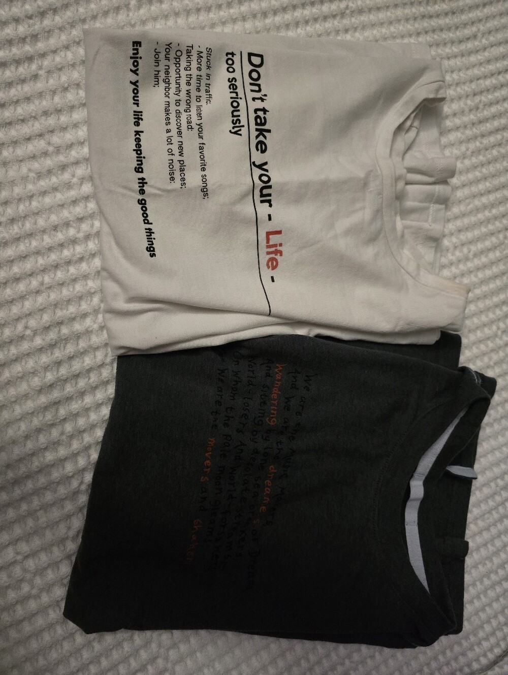 Zara White Crew Neck T-Shirt/REI Tee